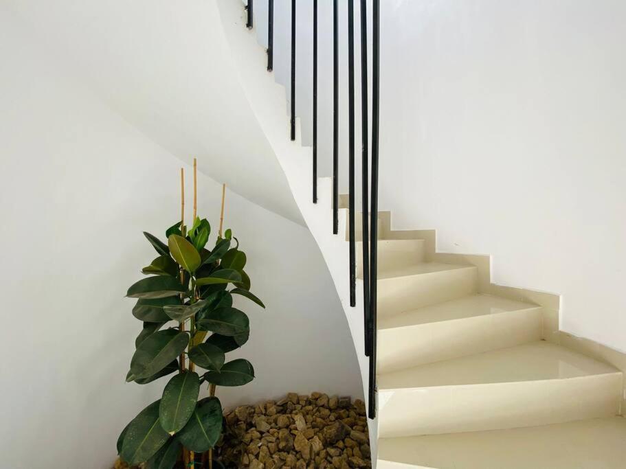Contempory Exclusive Sitges Area Villa Olivella Eksteriør bilde
